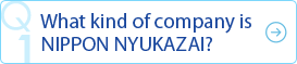 What kind of company is NIPPON NYUKAZAI?