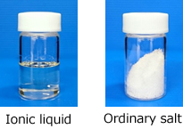 Ion Fluid　Regular salt